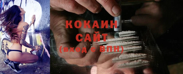 прущая мука Вяземский