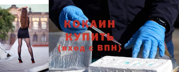 прущая мука Вяземский