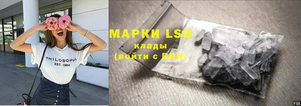 прущая мука Вяземский