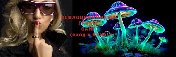 гашик Вязники