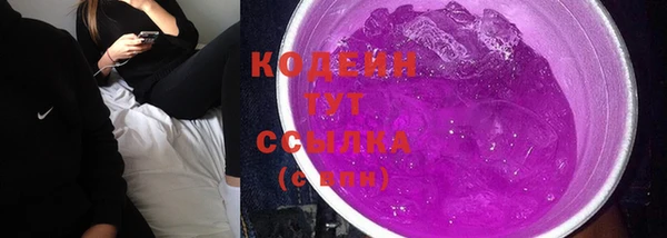 прущая мука Вяземский