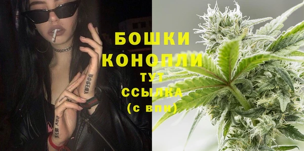 прущая мука Вяземский