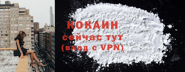 гашик Вязники