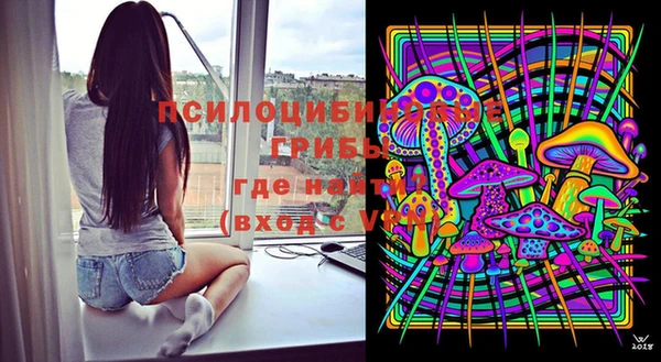 прущая мука Вяземский