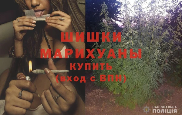 прущая мука Вяземский